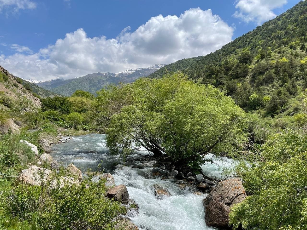 Shahrisabzning “Tanxoz” daryosi bo‘yida forel balig‘i yetishtirish boshlandi